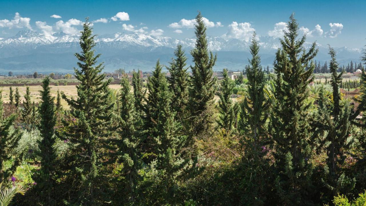 L'Oliveraie De L'Atlas Douar Caïd Layadi Εξωτερικό φωτογραφία